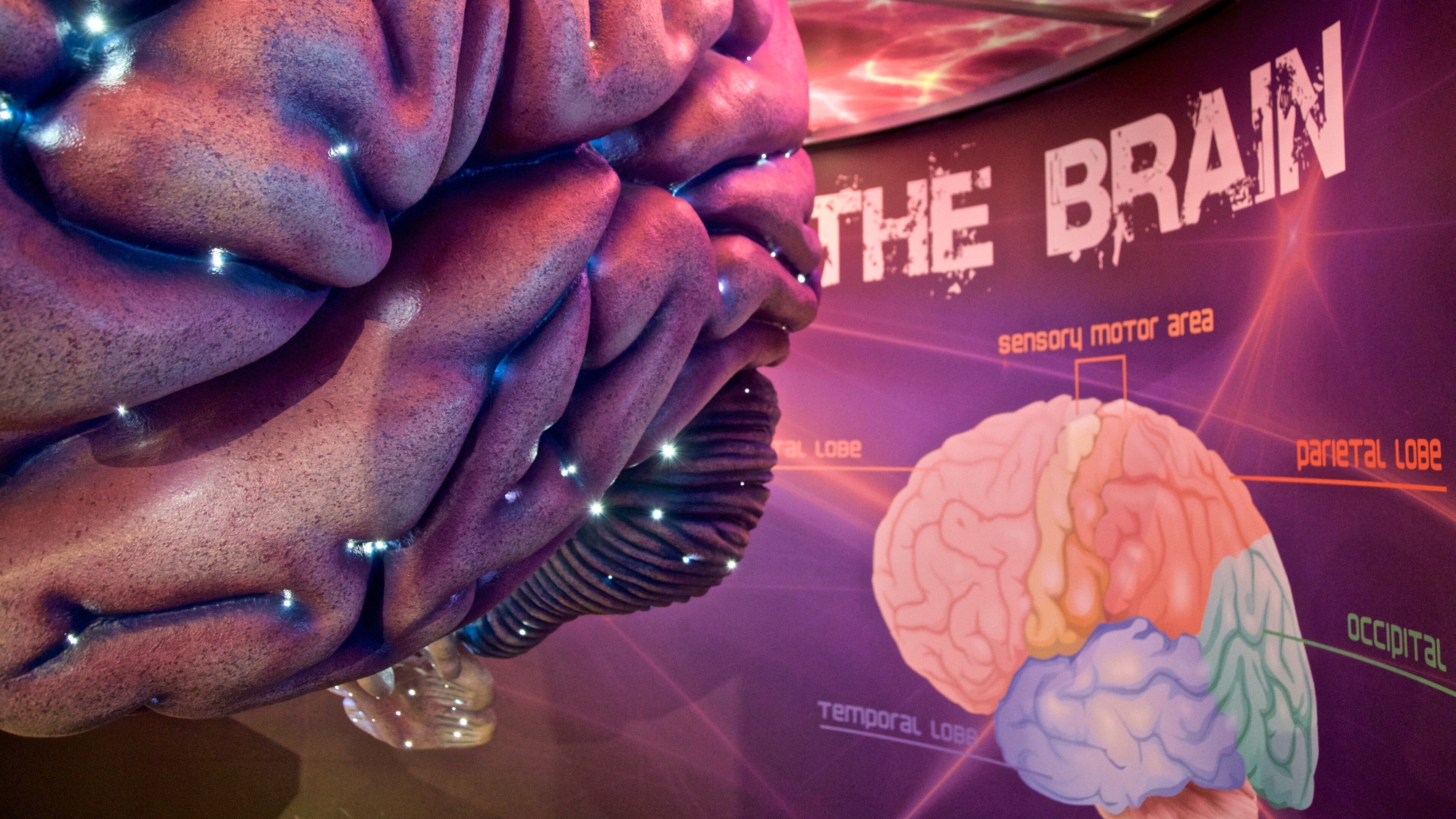 Museum of Science and Technology showing interior views