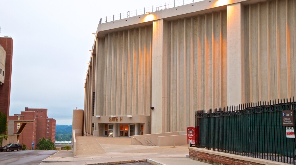 Carrier Dome featuring modern architecture