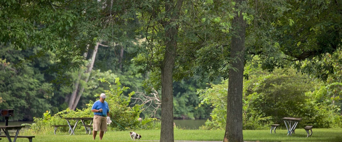 Lake Onondaga showing cuddly or friendly animals, a park and hiking or walking
