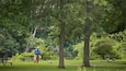 A park with picnic tables, a man walking a dog, and lush greenery.