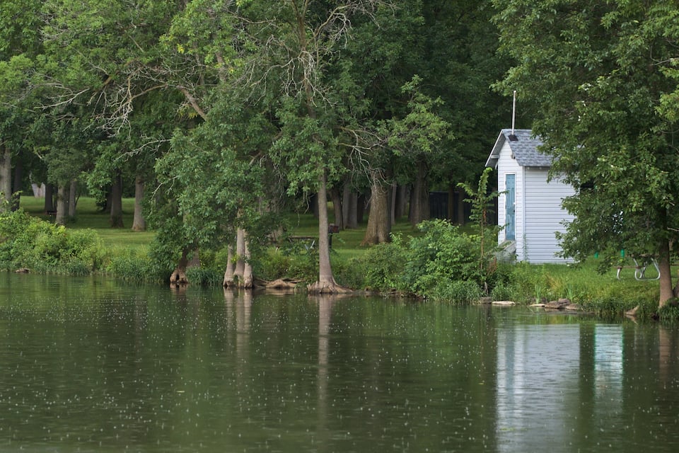 A small cabin by a lake surrounded by dense trees.