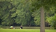 Ein See mit zwei Anglern, umgeben von dichtem Grün.