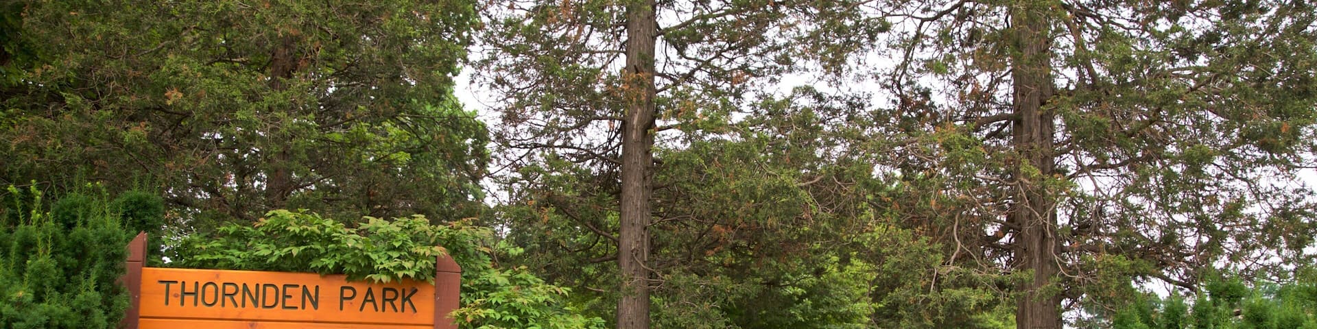Thorndon Park featuring signage and a garden