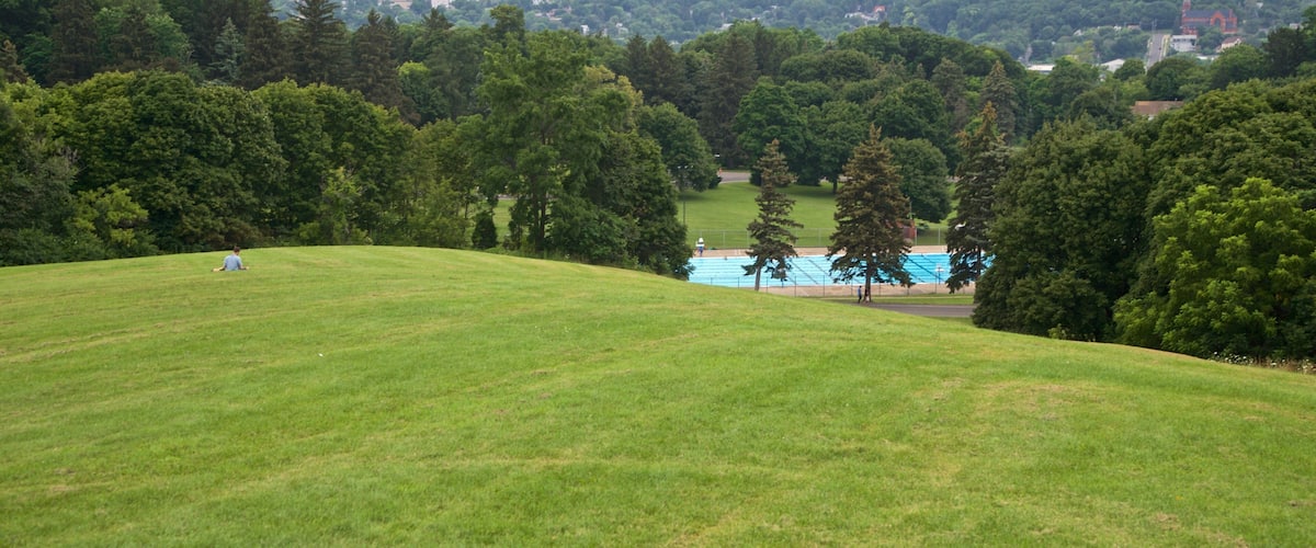 Thorndon Park featuring a park