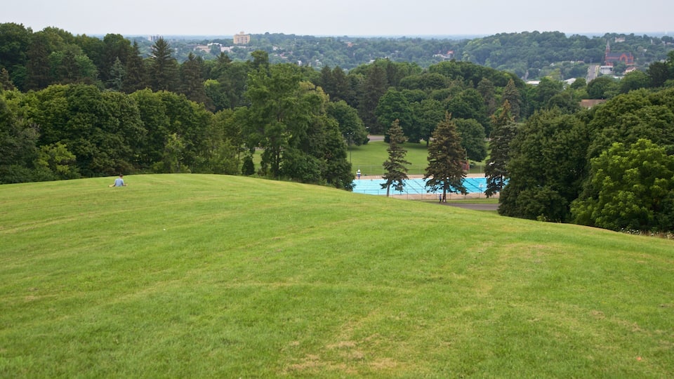 A grassy hill with a swimming pool and trees in the background.