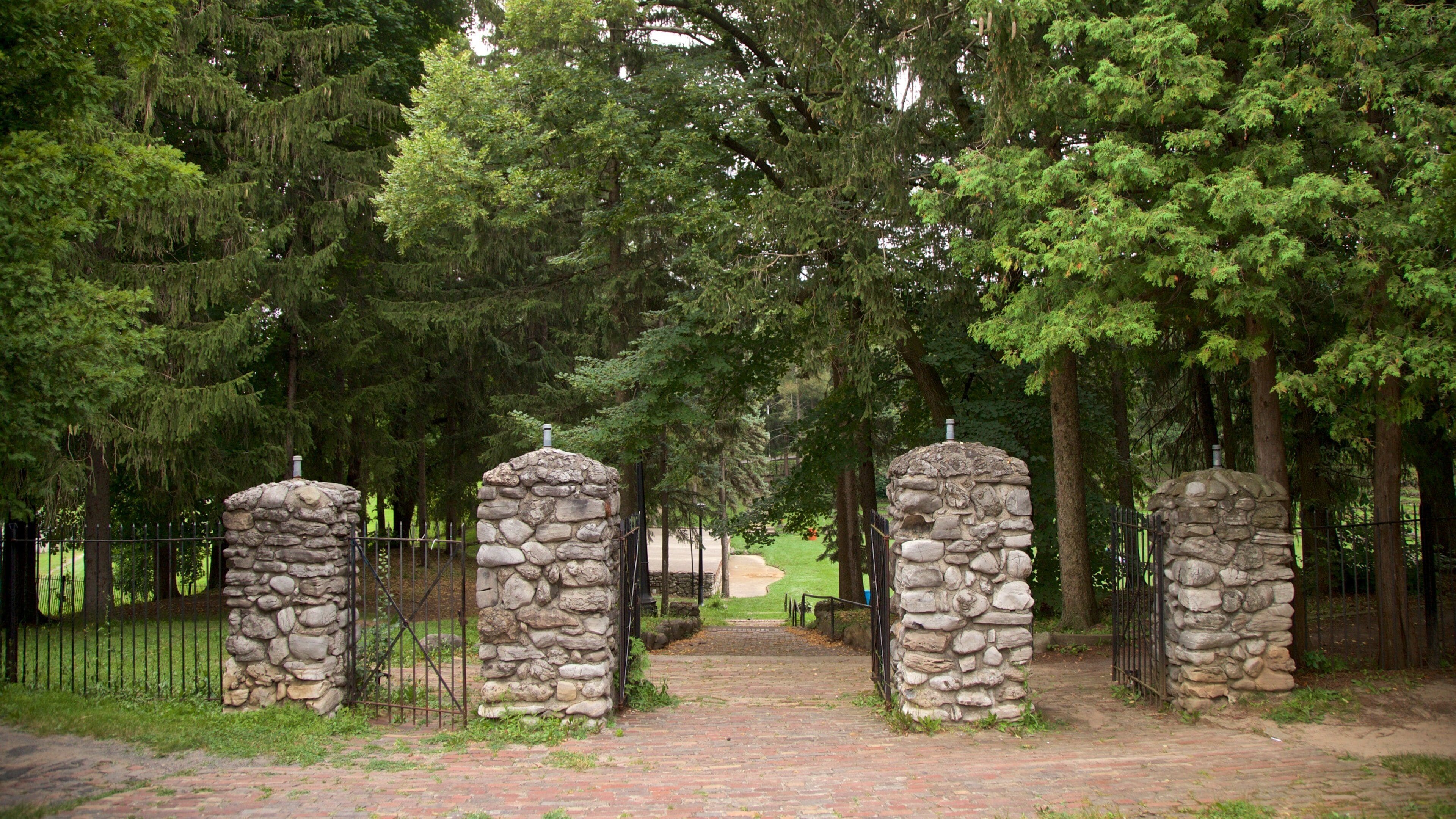 Thorndon Park som viser en park