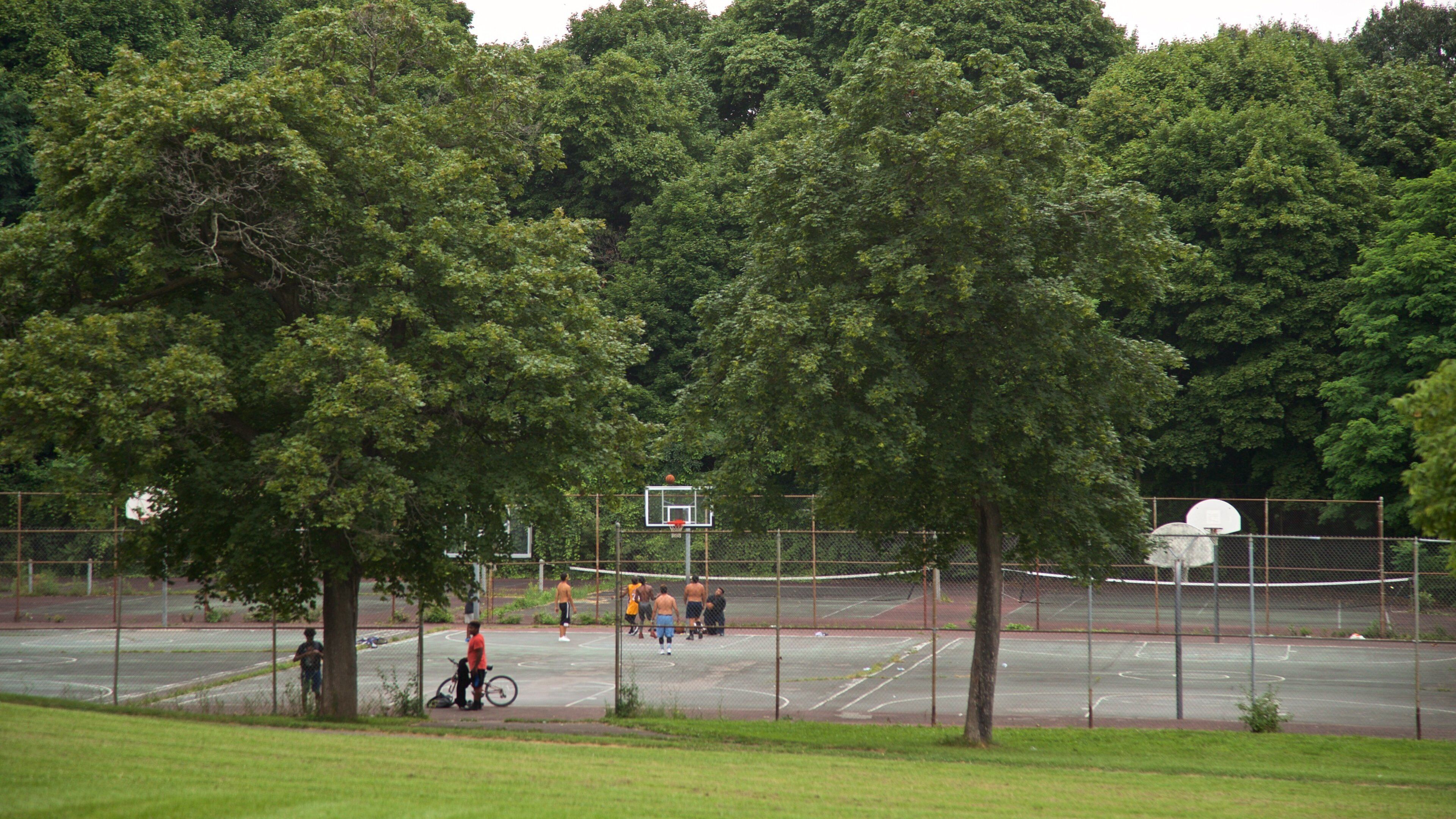 Thorndon Park montrant parc aussi bien que petit groupe de personnes