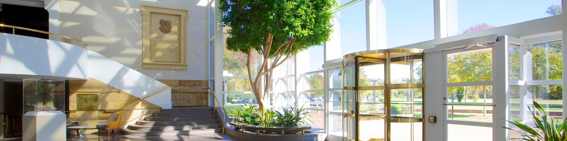 ๋ฏผํธ ๋ฐ๋ฌผ๊ด ๋๋ํ ์ ๋ณด์ฌ์ฃผ๋ ์ค๋ด ์ ๊ฒฝ