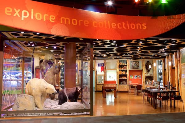 Discovery Place ofreciendo vistas de interior y señalización