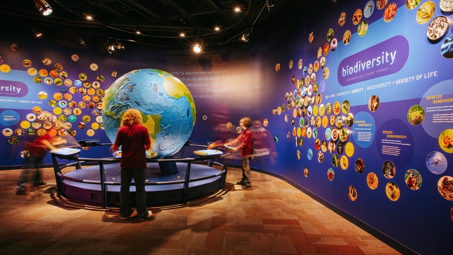 Discovery Place showing signage and interior views