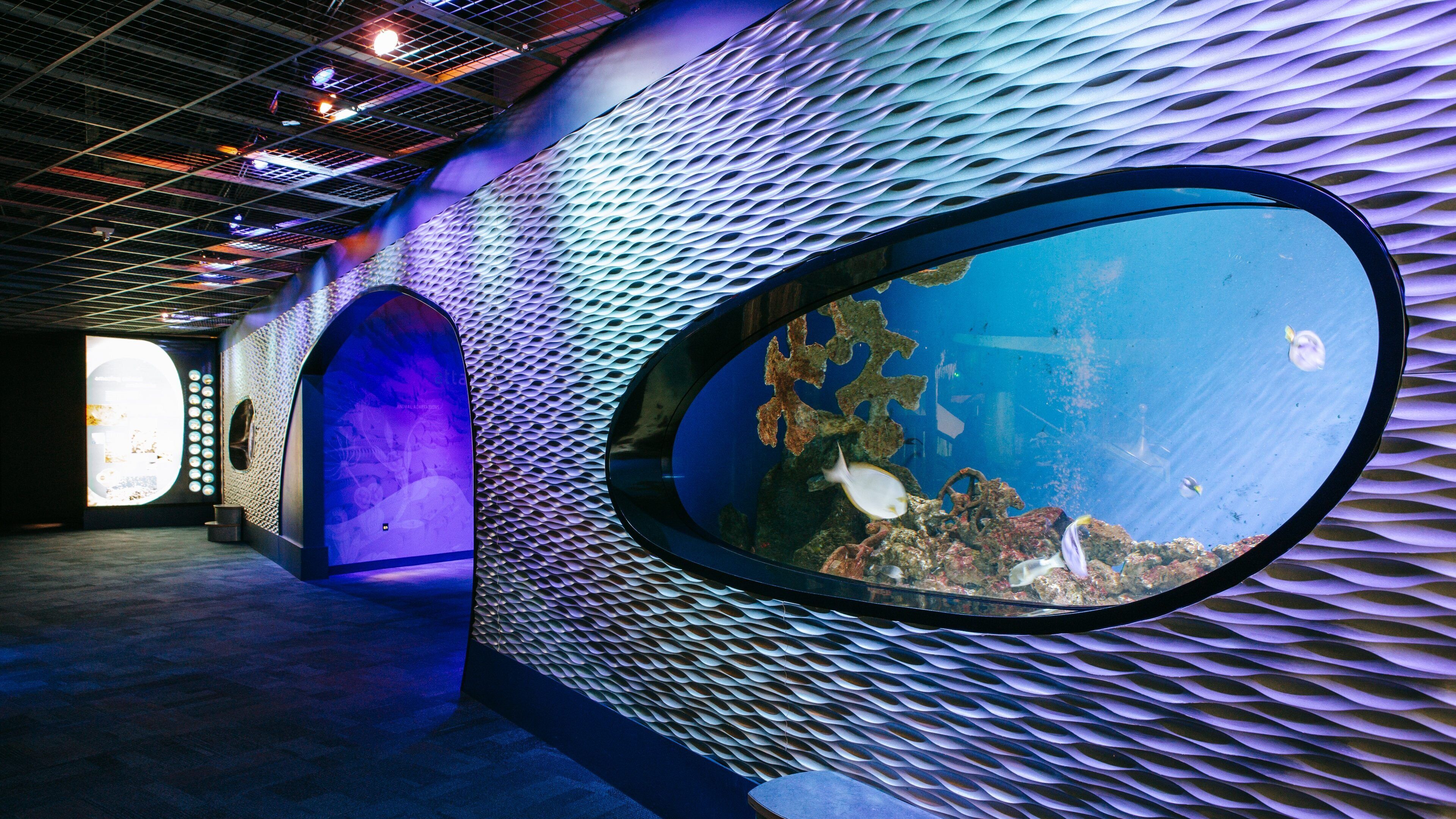 Discovery Place featuring interior views and marine life