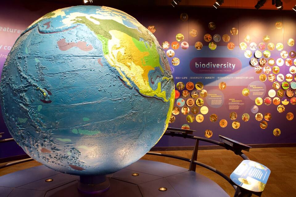A large globe with a biodiversity-themed wall in the background.