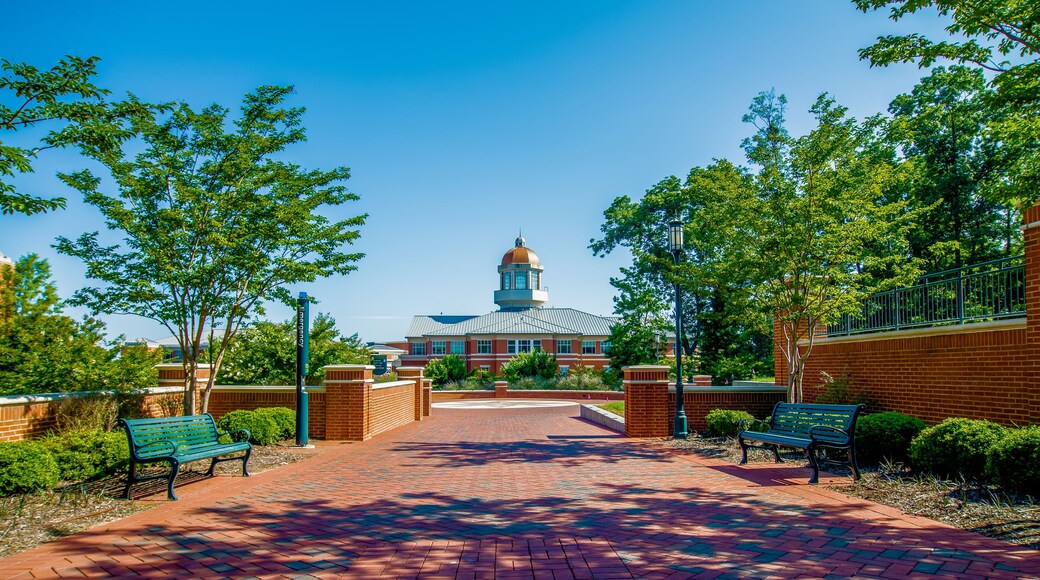University of North Carolina i Charlotte