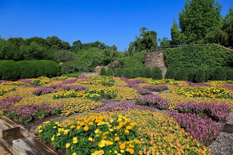 A garden with various flower beds, a stone bridge, and a stone wall.