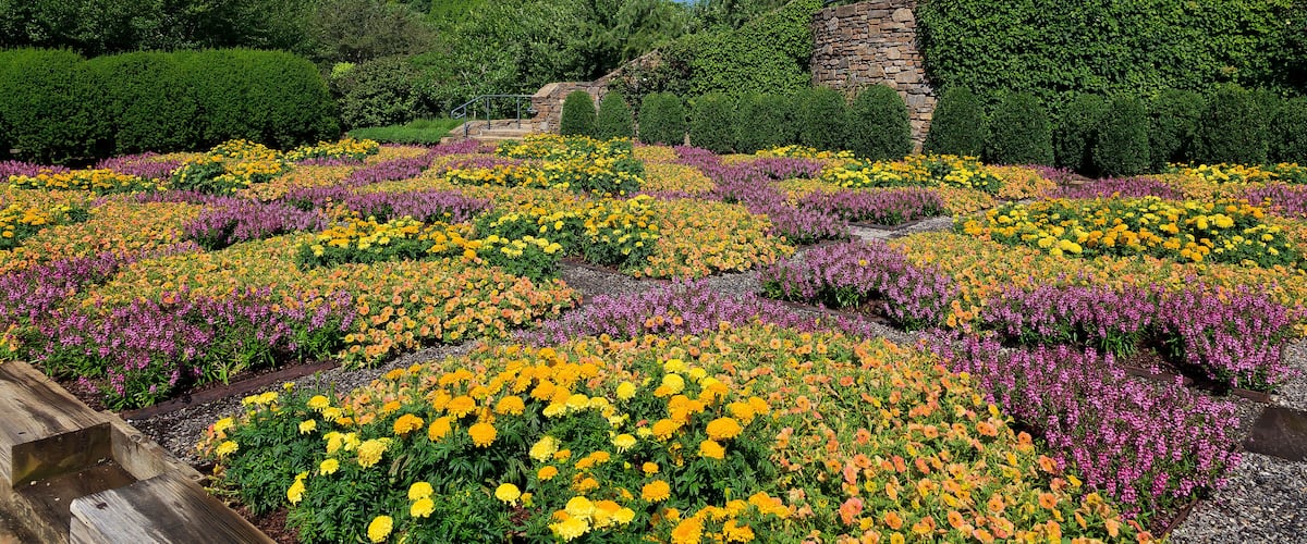 Patterned Quilt Garden in Asheville North Carolina, Shutterstock ID 1284094426, Purchase Order: SP-1891 Wave 0, Client/Licensee: Hotels.com