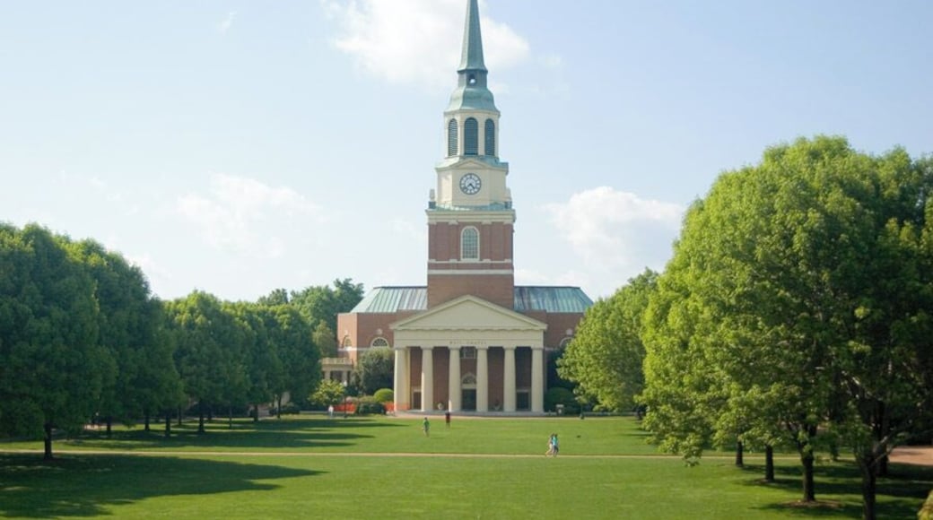 Wake Forest University