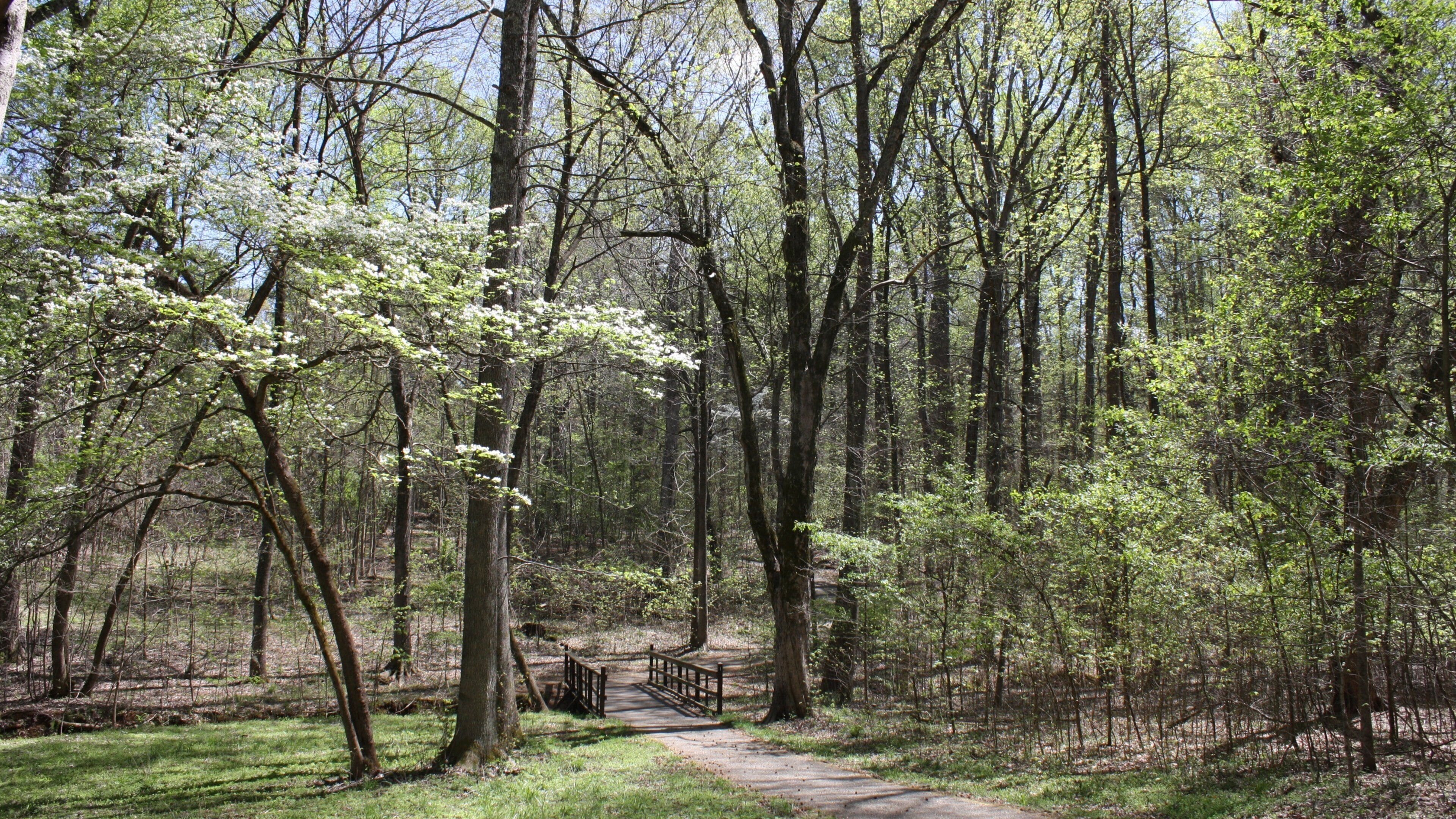 Guilford Courthouse National Military Park showing forests and hiking or walking