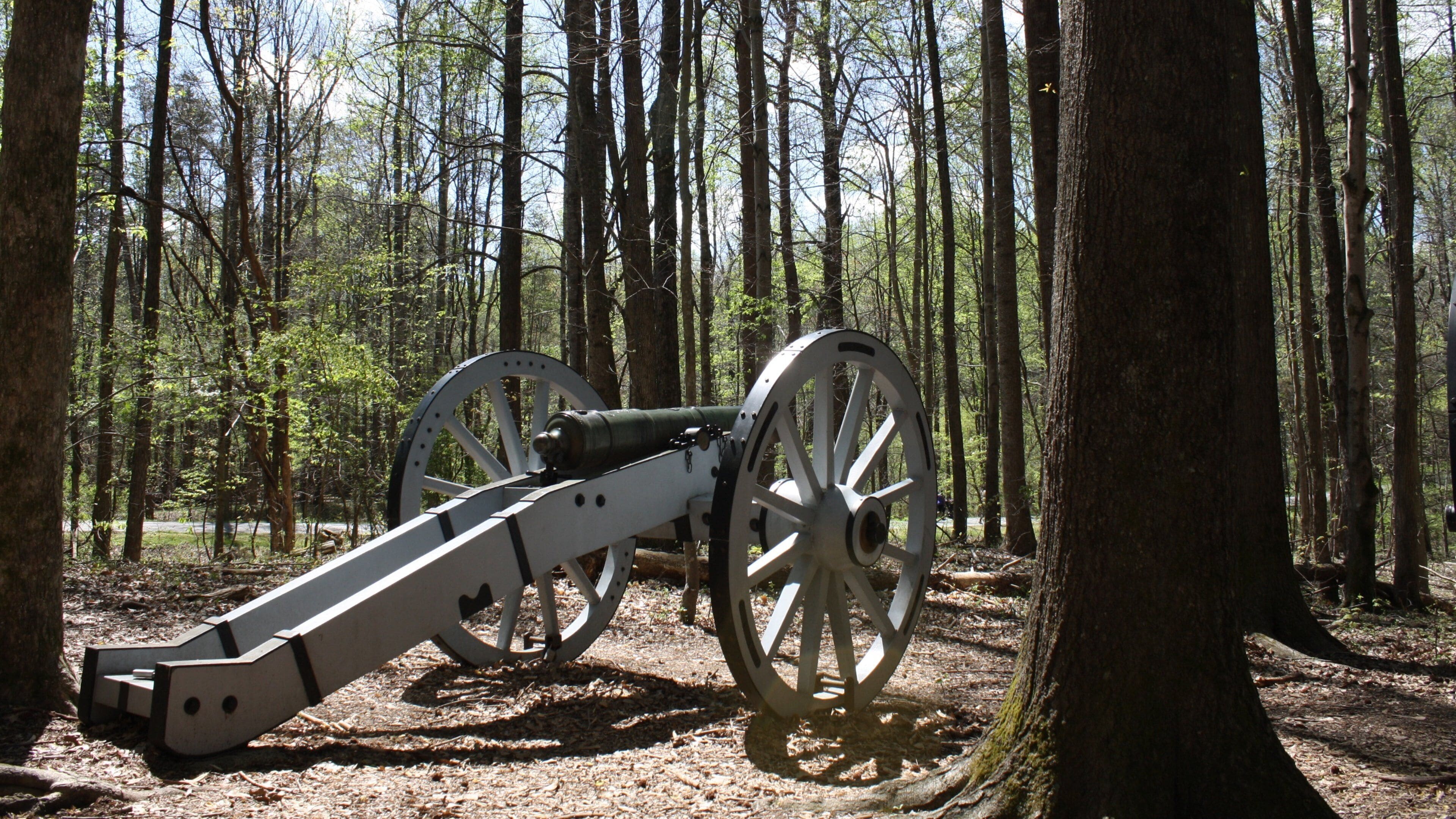 Guildford Courthouse National Military Park caracterizando cenas de floresta e um monumento