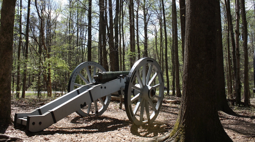 Guildford Courthouse National Military Park caracterizando cenas de floresta e um monumento