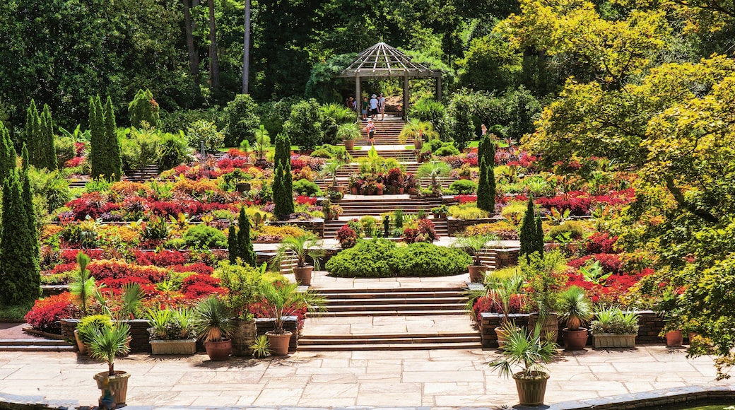 Duke Garden in Durham NC