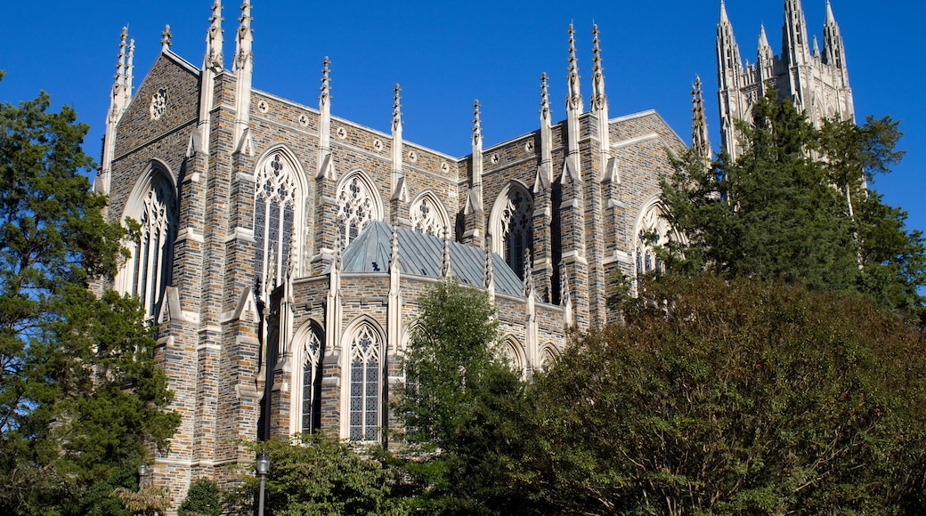 Duke University