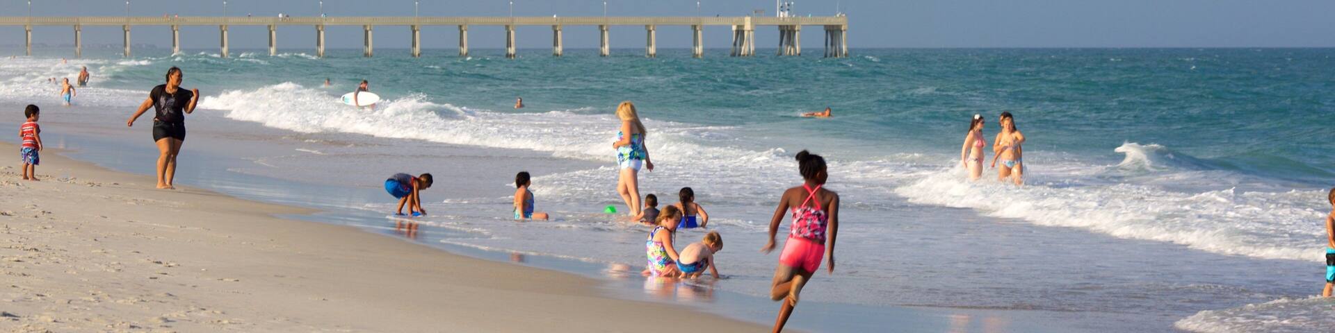 ライツビル ビーチ 表示 ビーチ 及び 少数の人々