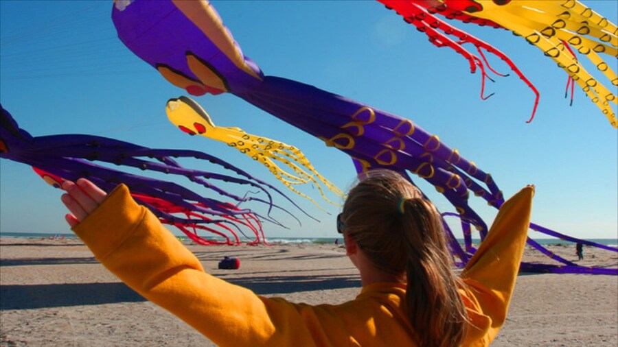 Wrightsville Beach featuring general coastal views as well as an individual child