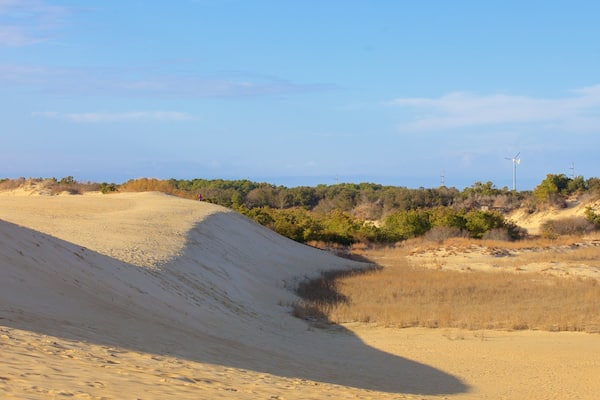 Jockey\'s Ridge State Park mostrando escenas tranquilas