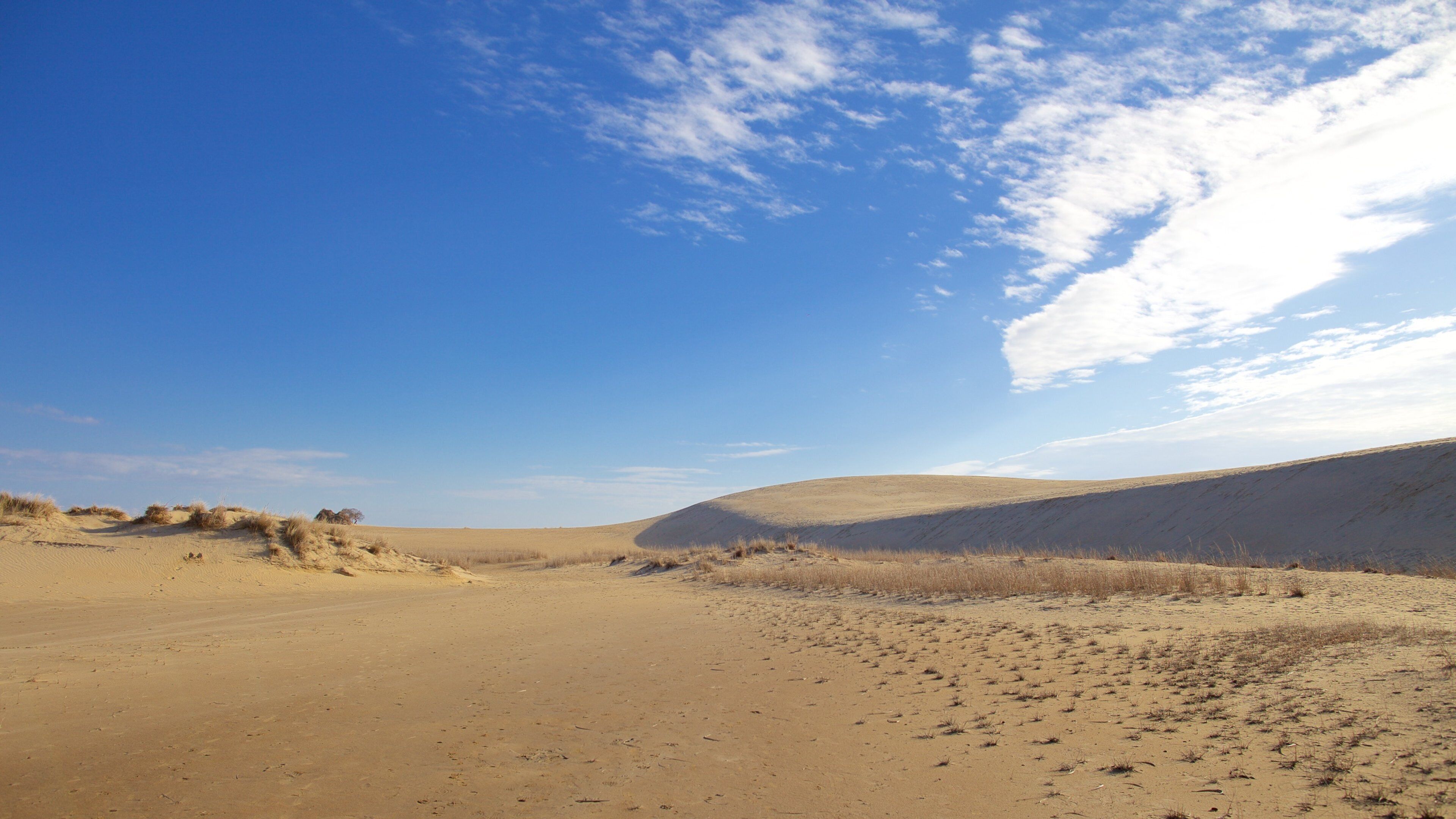 Jockey\'s Ridge State Park ofreciendo situaciones tranquilas