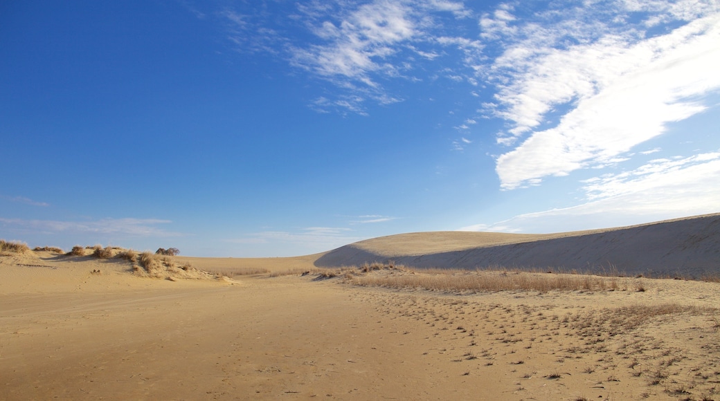 Jockey\'s Ridge State Park featuring tranquil scenes