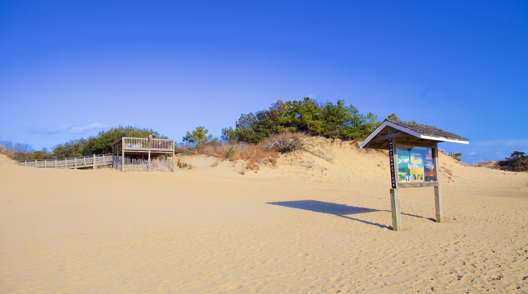 Jockey\'s Ridge State Park which includes a beach