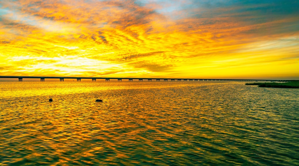 Pea Island National Wildlife Refuge