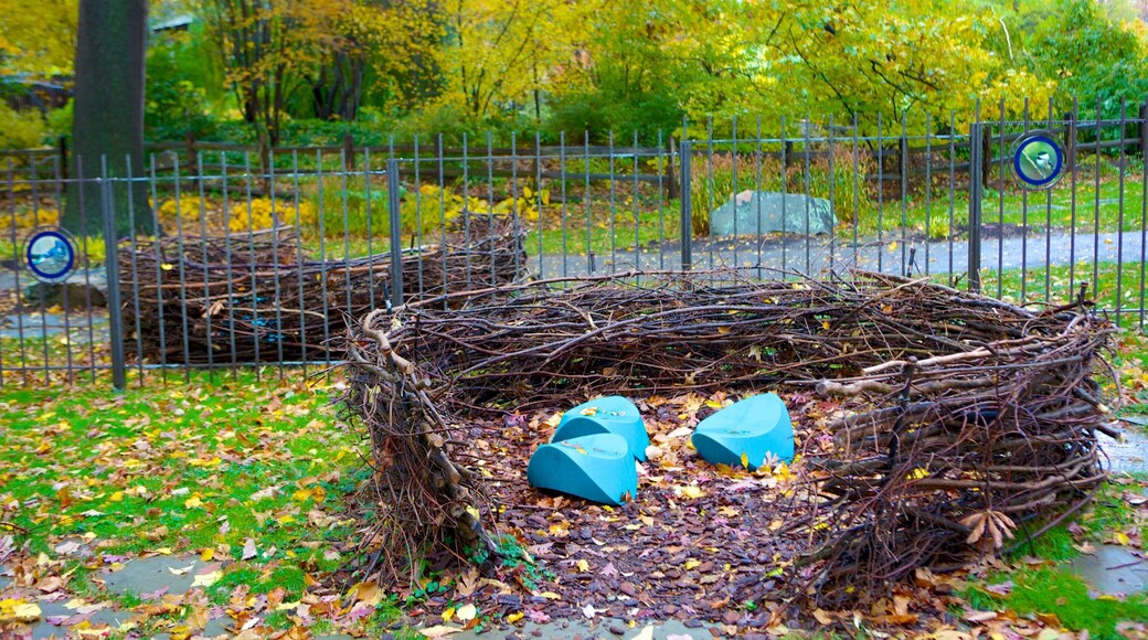 Cleveland Museum of Natural History which includes fall colors and a park