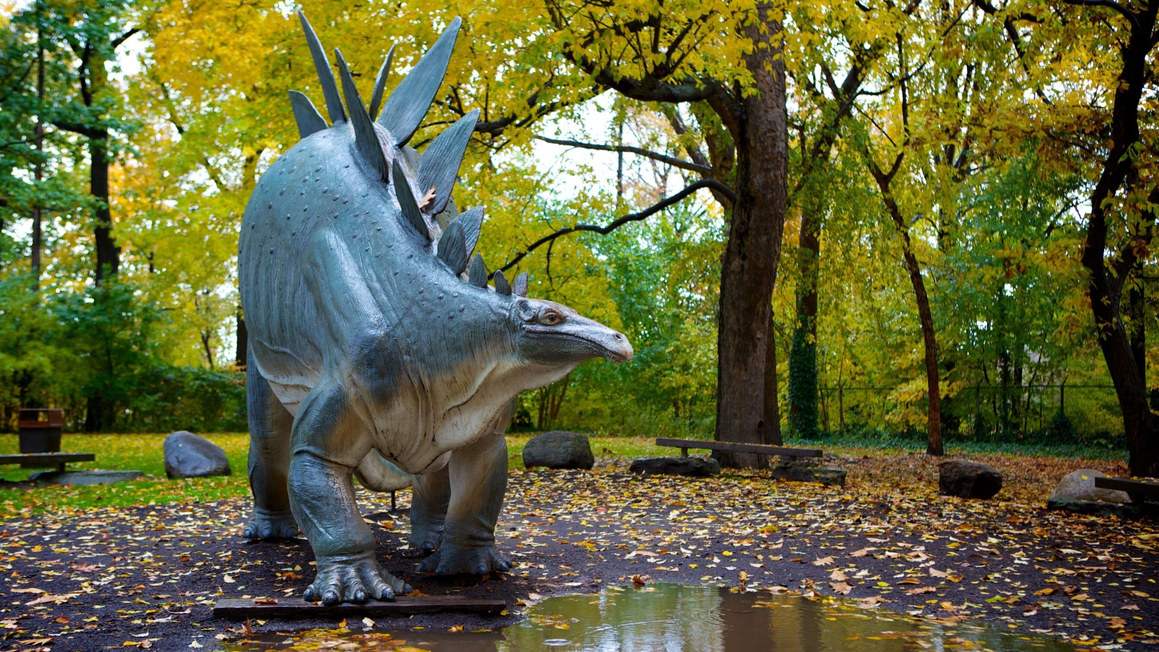 Cleveland Museum of Natural History which includes a park and autumn leaves