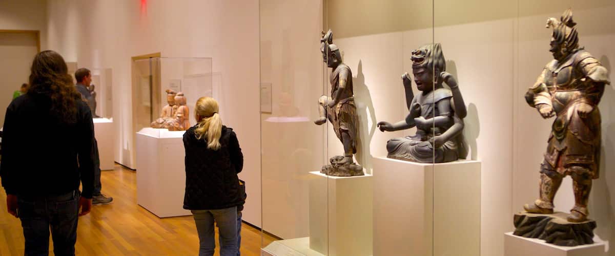 ํด๋ฆฌ๋ธ๋๋ ๋ฏธ์ ๊ด ์ ํน์ง ์์ ๊ณผ ์ค๋ด ์ ๊ฒฝ