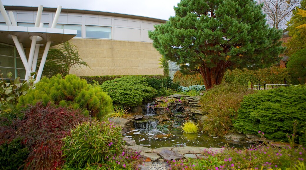 Cleveland Botanical Garden presenterar ett vattenfall och en park