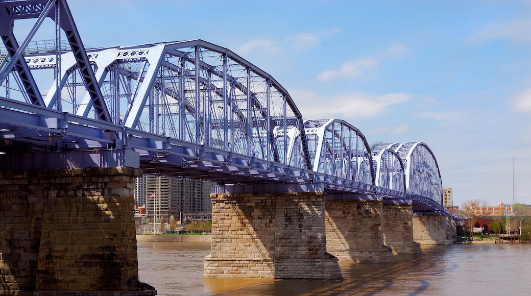 Newport Southbank Bridge