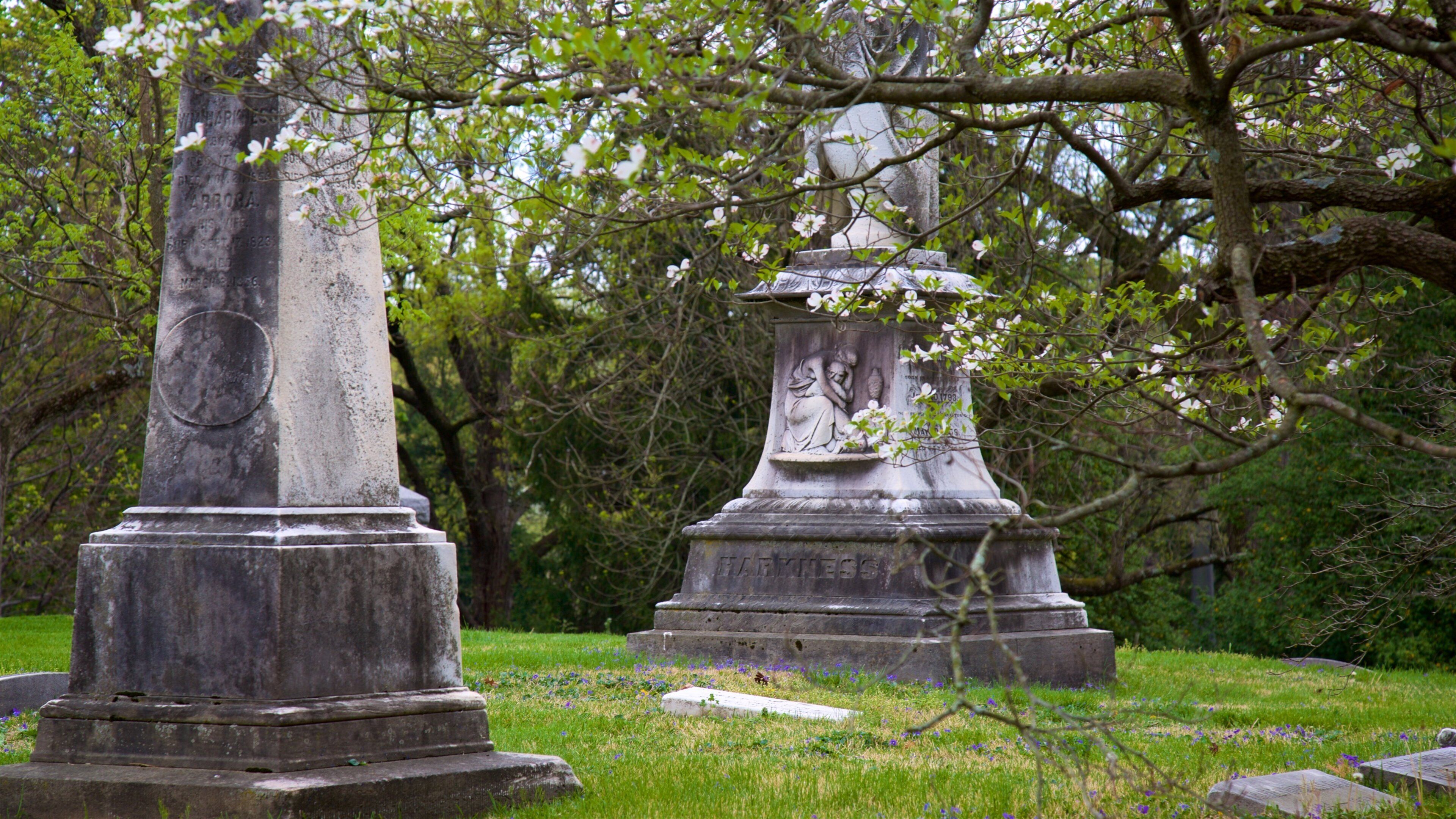 Spring Grove Cemetery