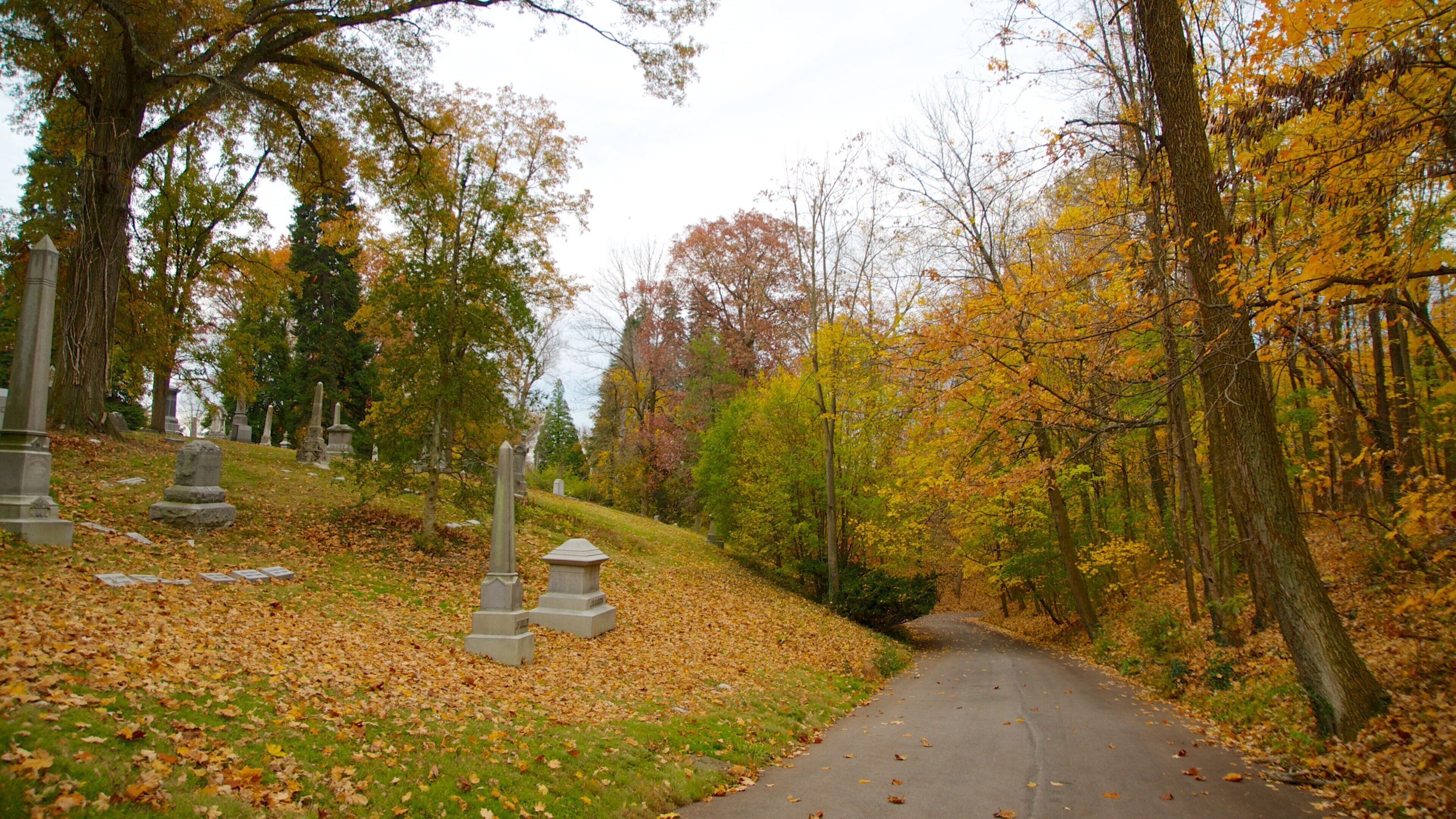 Begraafplaats Spring Grove toont herfstkleuren, een tuin en een begraafplaats
