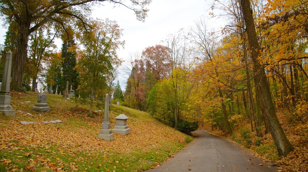 Begraafplaats Spring Grove toont herfstkleuren, een tuin en een begraafplaats