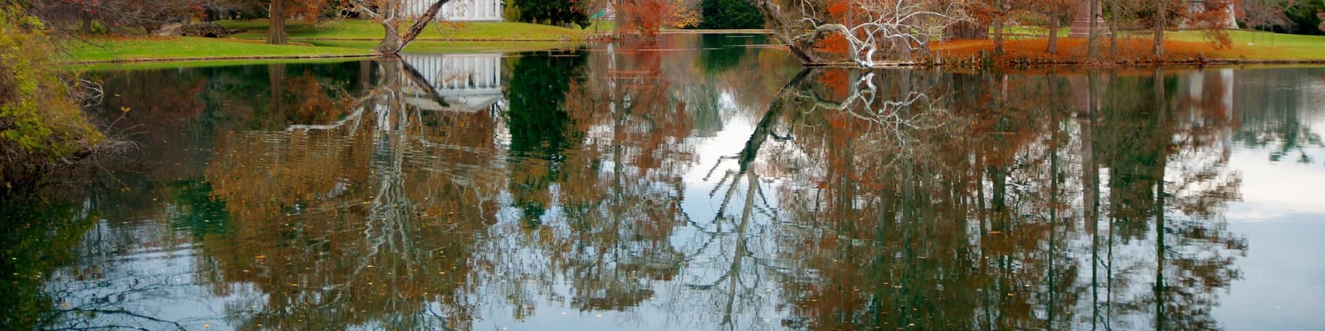Spring Grove Cemetery showing a park, forest scenes and fall colors