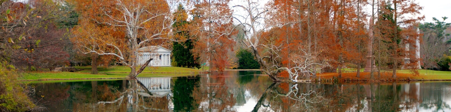 Spring Grove Cemetery que incluye bosques, un estanque y colores de otoño