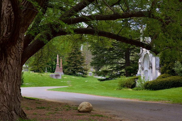 Spring Grove Cemetery mit einem Statue oder Skulptur und Friedhof