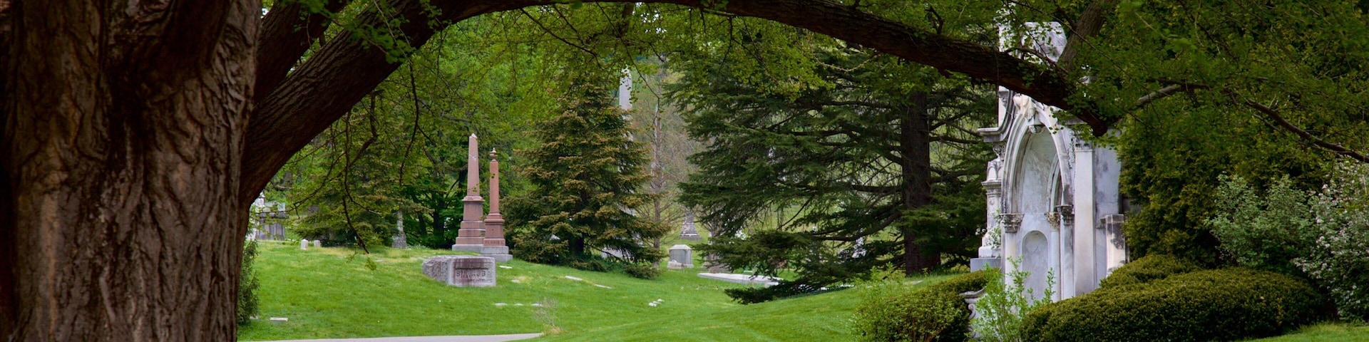 Spring Grove Cemetery mit einem Statue oder Skulptur und Friedhof