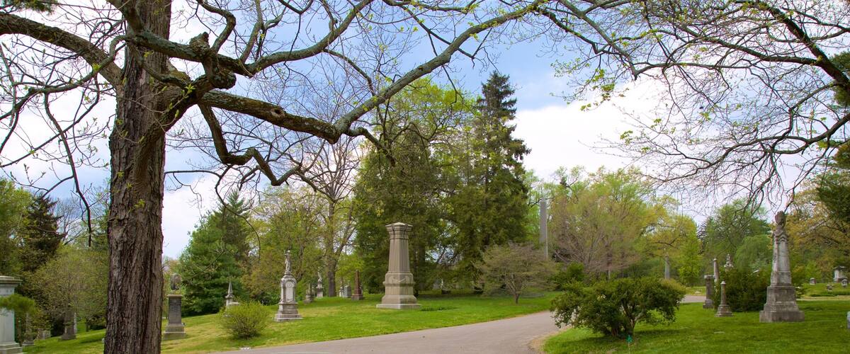 Spring Grove Cemetery