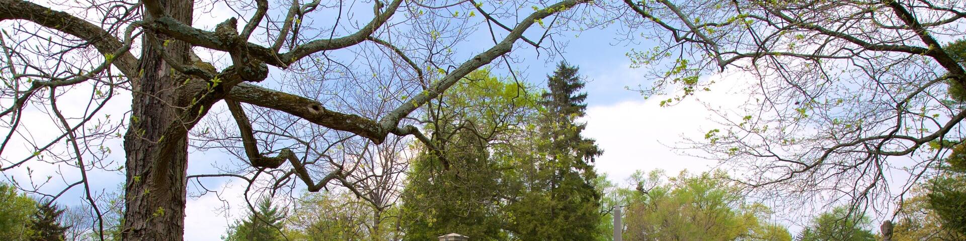 スプリング グローブ セメタリー