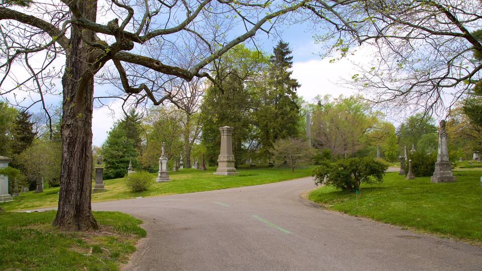 Ein Friedhof mit einem gewundenen Weg, Steinmonumenten und einem großen Baum im Vordergrund.