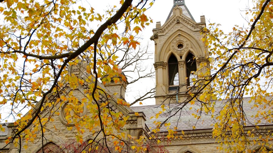 Spring Grove Cemetery que incluye elementos religiosos, una iglesia o catedral y los colores del otoño