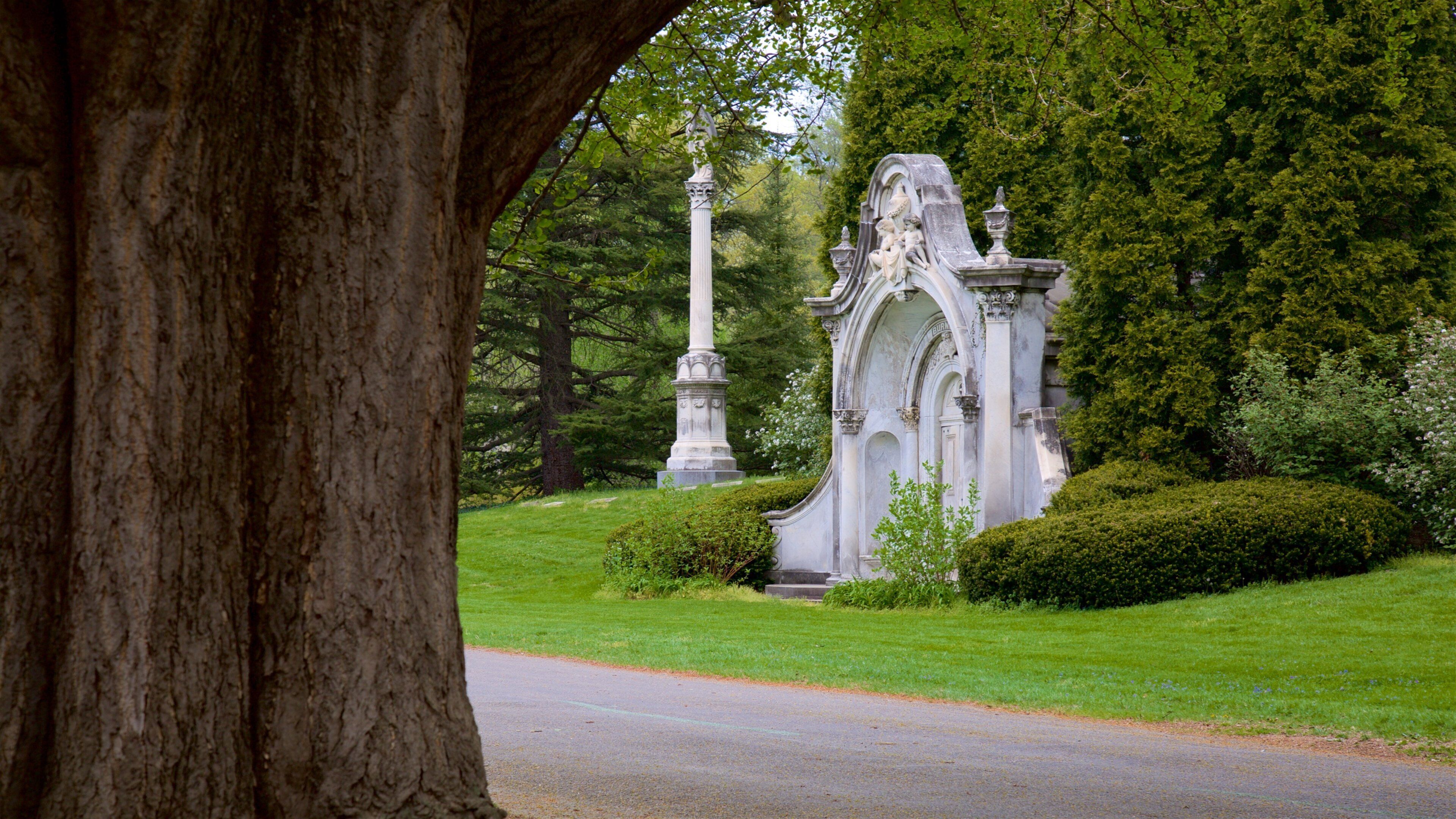 Spring Grove Cemetery que inclui um cemitério e uma estátua ou escultura