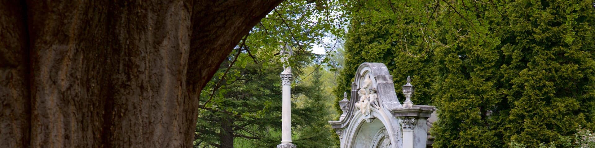 A cemetery with a large tree in the foreground, a white monument, and well-maintained greenery.